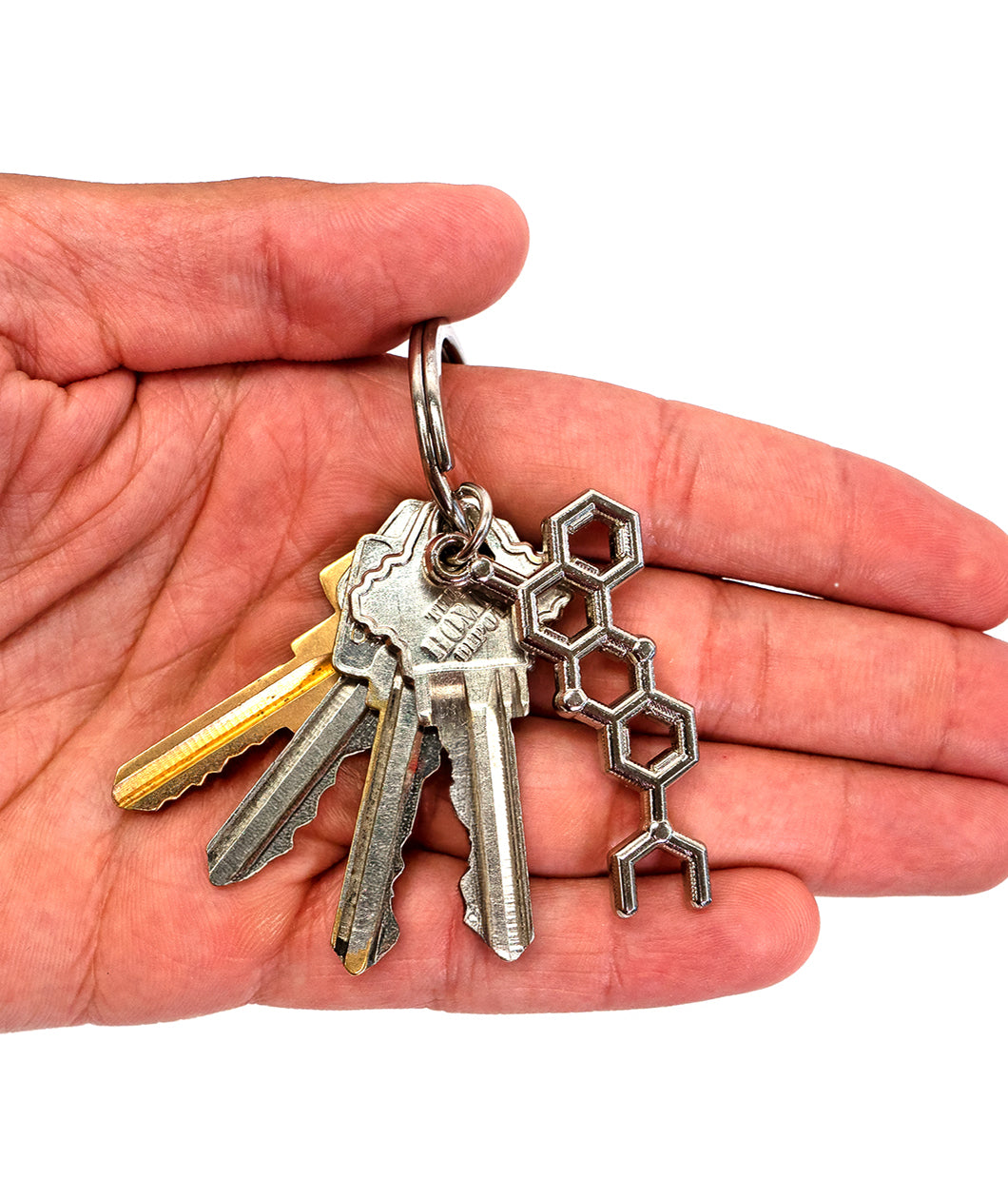 Hand holding key ring with keys and molecule keychain.