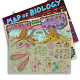 Biology Poster Bundle