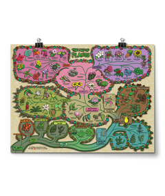 A poster with the title "The Map of Plants" with colorful sections showing different kinds of plants with information about them. From Domain of Science.