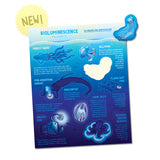A blue sticker sheet of 8 different sea creatures with bioluminescence. A small badge says "New". From MinuteEarth.