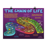 A poster with the headline "The Chain of Life" depicting a walkway with all different animals and organisms on it going back to the past through today. There is little text on the poster with facts about the chain of life. From Domain of Science.
