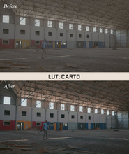 2 of the same photo of a person in a large partially-constructed building. In between the photos is a white bar that says "LUT: Carto". The bottom "after" photo has brighter lighting than the top photo. By Iz & Johnny Harris.