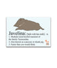 Cartoon drawing of brown javelina with a tan streak around its neck. Below the drawing is text in black serif font with “Javelina” followed by phonetic pronunciation of the word. Below are three fun facts of the animal. In bottom right corner is a logo of an orange cartoon monkey with spiral tail on top of “Animal Wonders INC.” Base color of sticker is light blue - from Animal Wonders