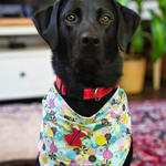 Adorable black lab dog with brown eyes wearing the corset pin on their flowered bandana. A very good doggo.