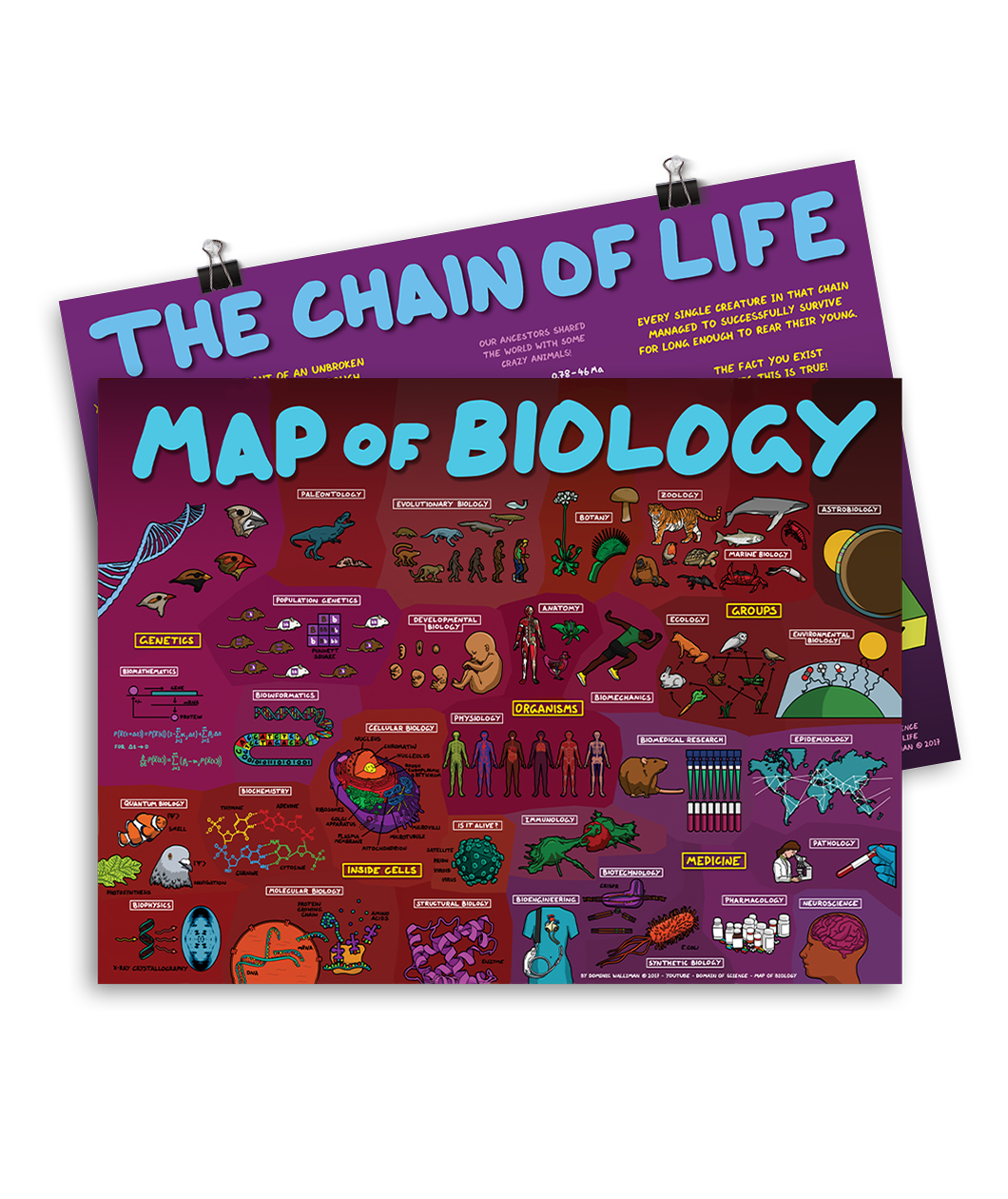 A red and purple poster covered with drawings of life on a macroscopic and microsopic level - by Domain of Science. Behind it is a purple poster with a light blue title: THE CHAIN OF LIFE