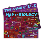 A red and purple poster covered with drawings of life on a macroscopic and microsopic level - by Domain of Science. Behind it is a purple poster with a light blue title: THE CHAIN OF LIFE