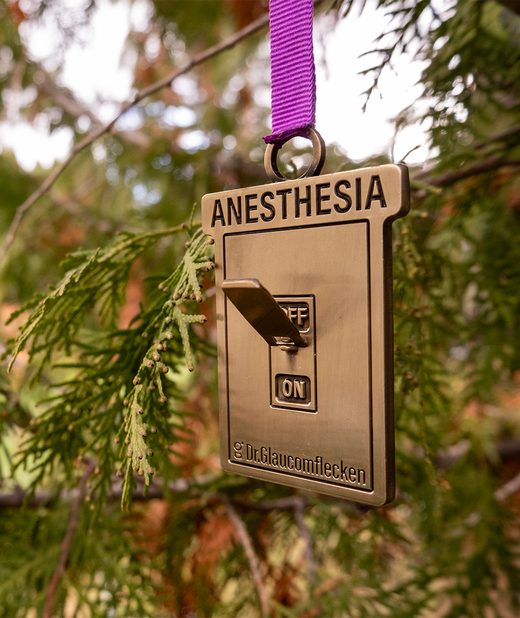 Gold metal rectangular ornament that says Anesthesia on the top, recessed into the metal, and then a 3D switch flipped up to indicate ON in the middle. The bottom has Dr.Glaucomflecken recessed into the metal. A ribbed purple ribbon is attached at the top that hangs it off of a Christmas tree.