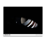 Artemis II Prints - Hank's Favorites Bundle