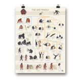 Ape Poster