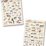 Feline Poster and Canine Poster Bundle