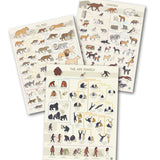 Taxonomy Poster Bundle