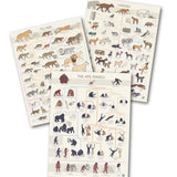 Taxonomy Poster Bundle
