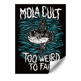 Mola Cult Sticker
