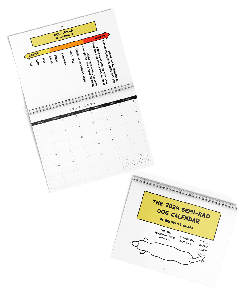 The 2024 Semi-Rad Dog Calendar with an illustration of a dog from above on the cover. The calendar is open to the month of July with a hand drawn graph.