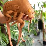 Man holding cicada shell shaped backpack. Backpack takes up his whole forearm as he holds the head of the bag in his hand.