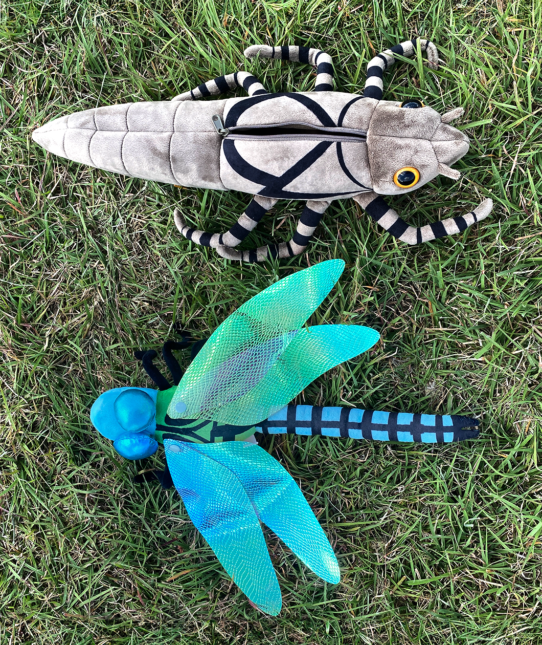 The unzippered dragonfly larve shell plush next to the bright blue adult dragonfly plush.