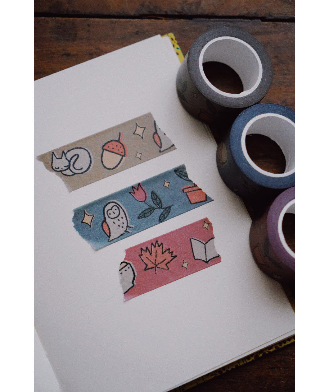 Three washi tapes of different colorways torn and taped across a page from a journal. The washi tapes come in a set of blue, purple, and brown colors. From Books Unbound.