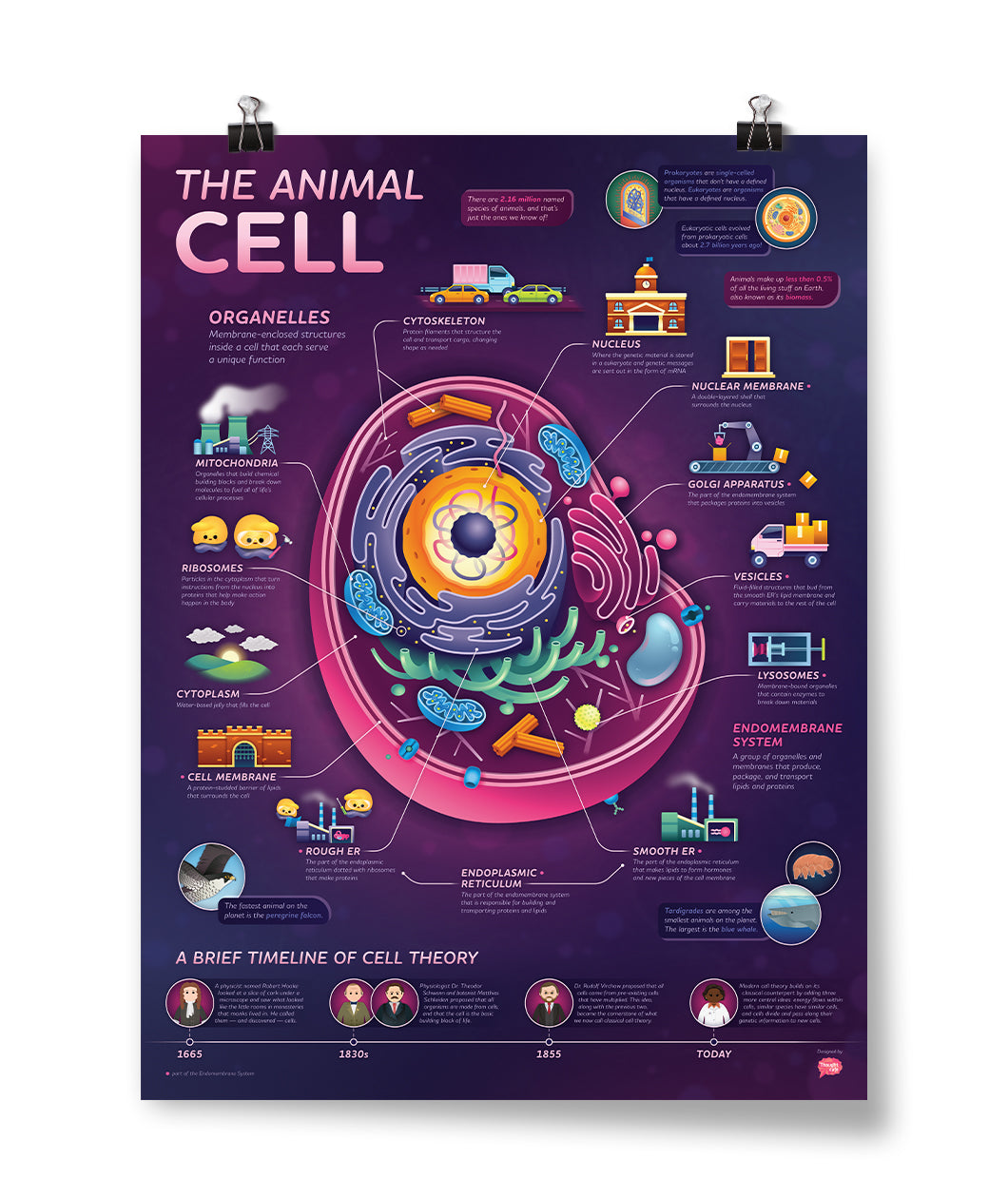 Cell Lab Poster All Posters – DFTBA