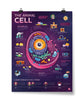 Crash Course Animal Cell Poster