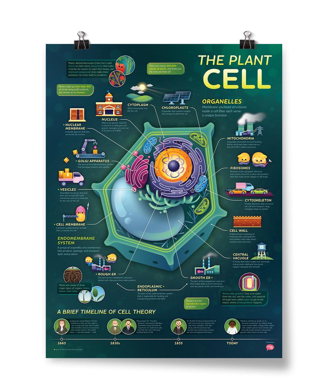 Crash Course Plant Cell Poster
