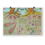 Map of Fungi Poster