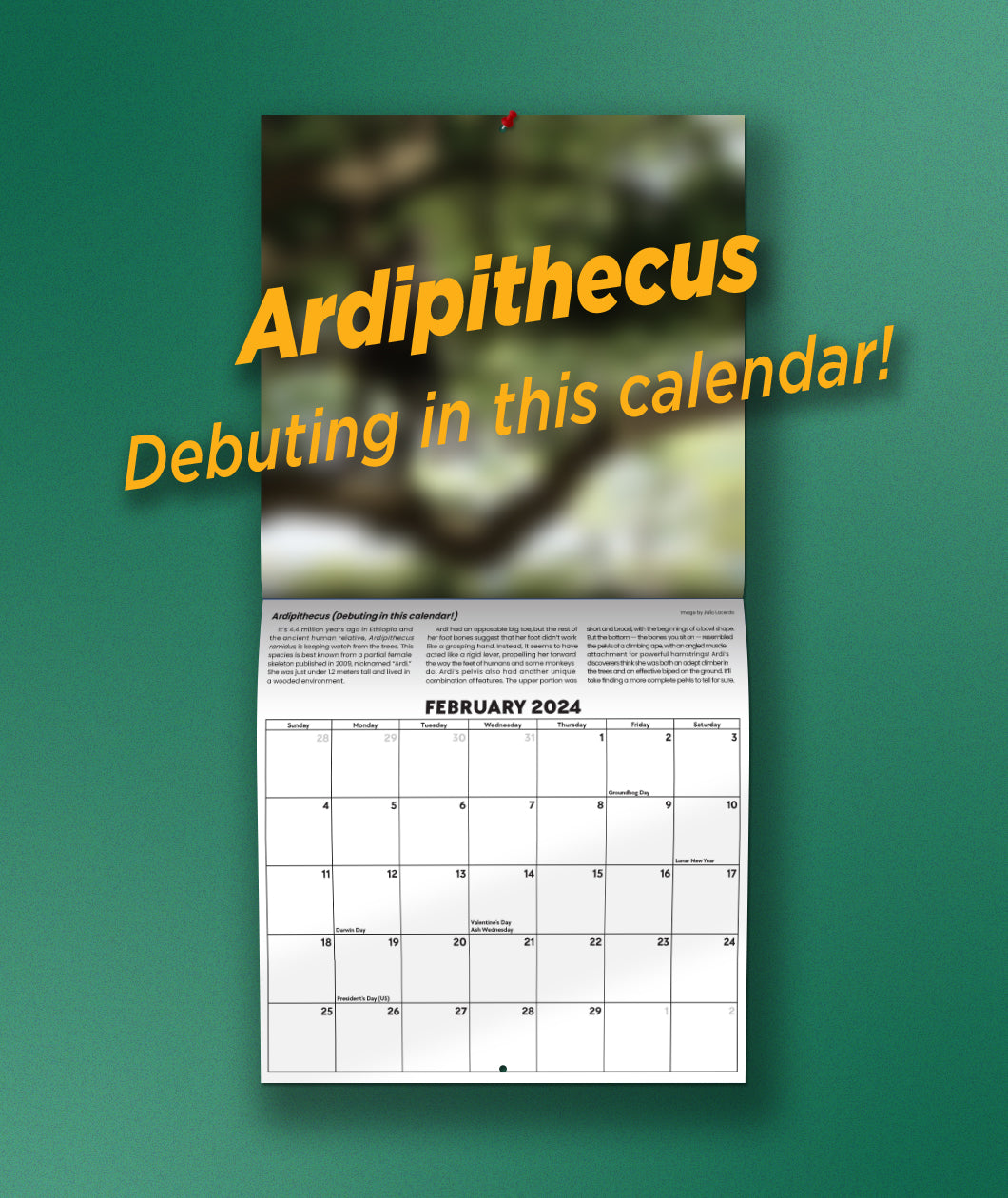 The February page of the Eons 2024 Calendar in front of a green background. The image is blurred with text that says "Ardipithecus Debuting in this calendar!".