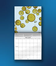 The May page of the Journey to the Microcosmos 2024 Calendar in front of a blue background. The photo a close up picture of diatoms on a light background.