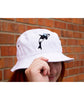 A person's head wearing a white bucket hat with a orca whale on the front. From Scishow. 