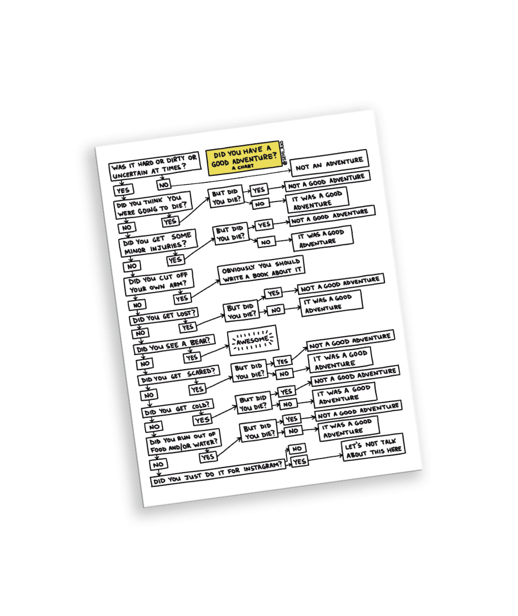 A rectangular fridge magnet that has a flow chart design. The flow chart starts with the question, "Did you have a good adventure?" and leads to a series of yes and no questions. From Semi-Rad.