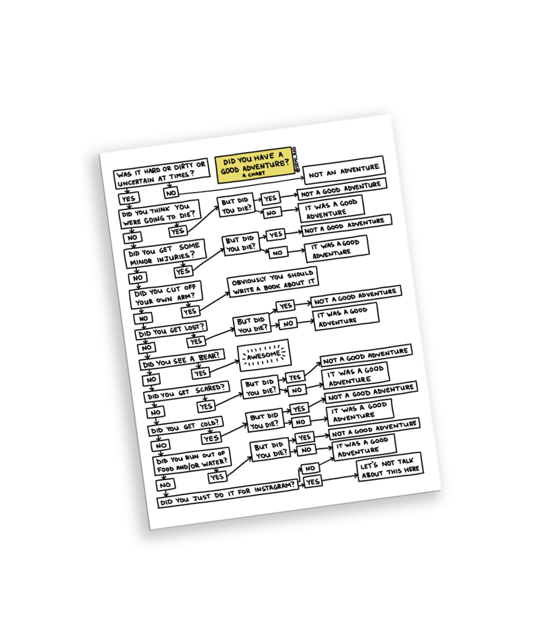 A rectangular fridge magnet that has a flow chart design. The flow chart starts with the question, "Did you have a good adventure?" and leads to a series of yes and no questions. From Semi-Rad.