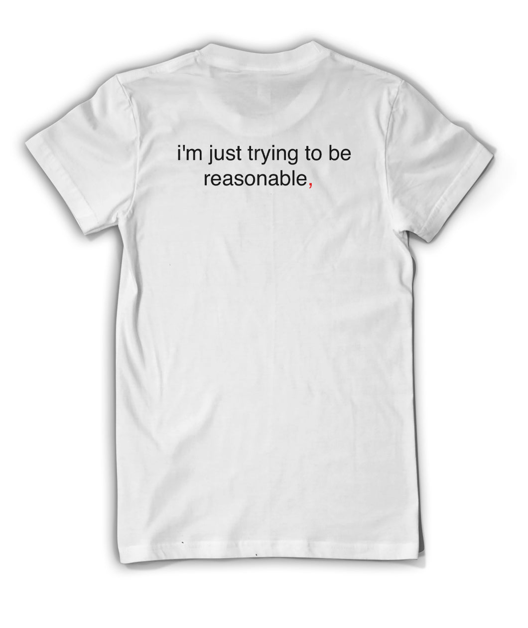 The back of the shirt reads "i'm just trying to be reasonable,". From Bill Wurtz. 