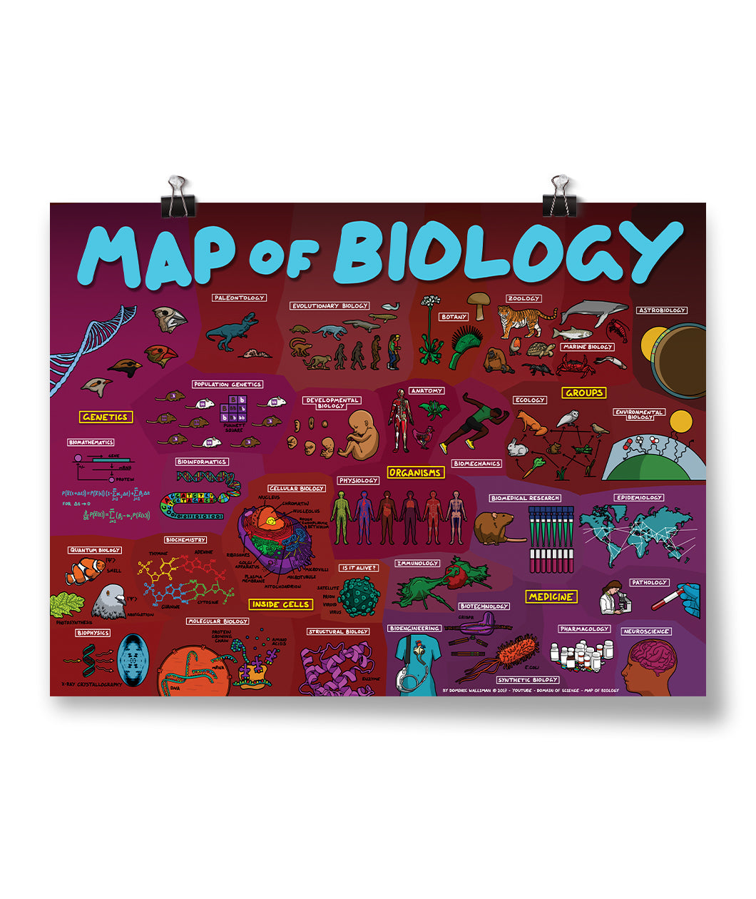 A red and purple poster covered with drawings of life on a macroscopic and microsopic level - by Domain of Science