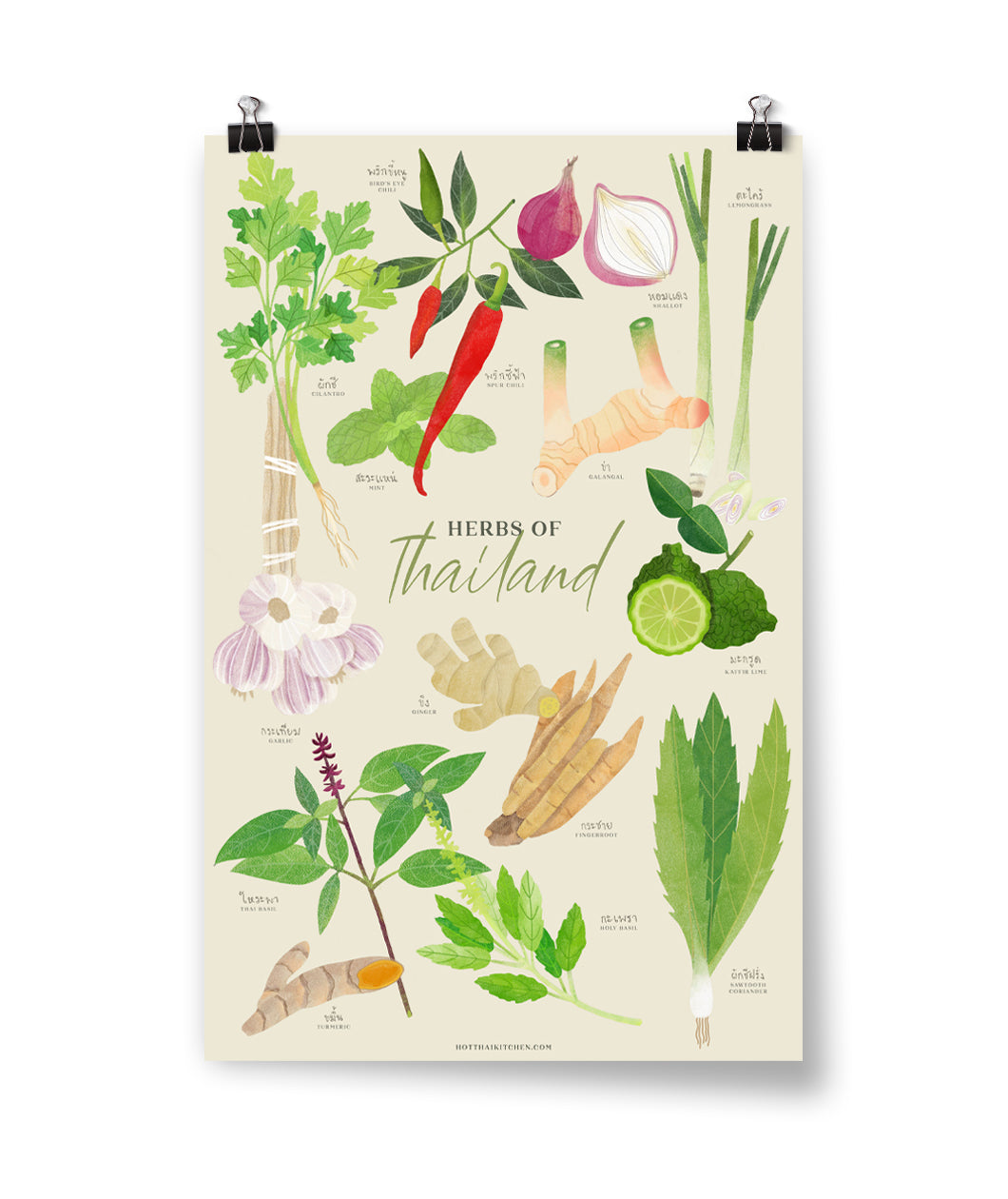A poster from Hot Thai Kitchen showing colorful illustrations of different herbs of Thailand.