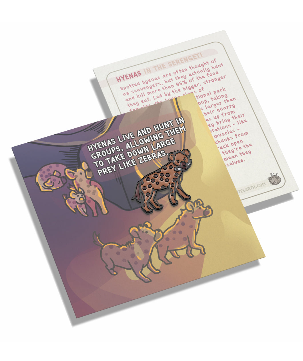 A hyena pin on a pin backing that gives facts about the hyena.
