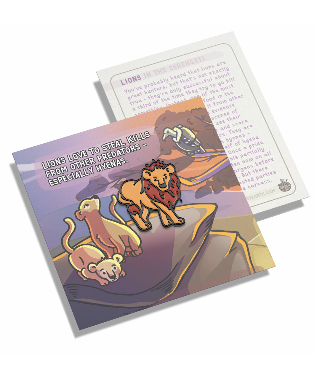 A lion pin on a pin backing that gives facts about the lion.