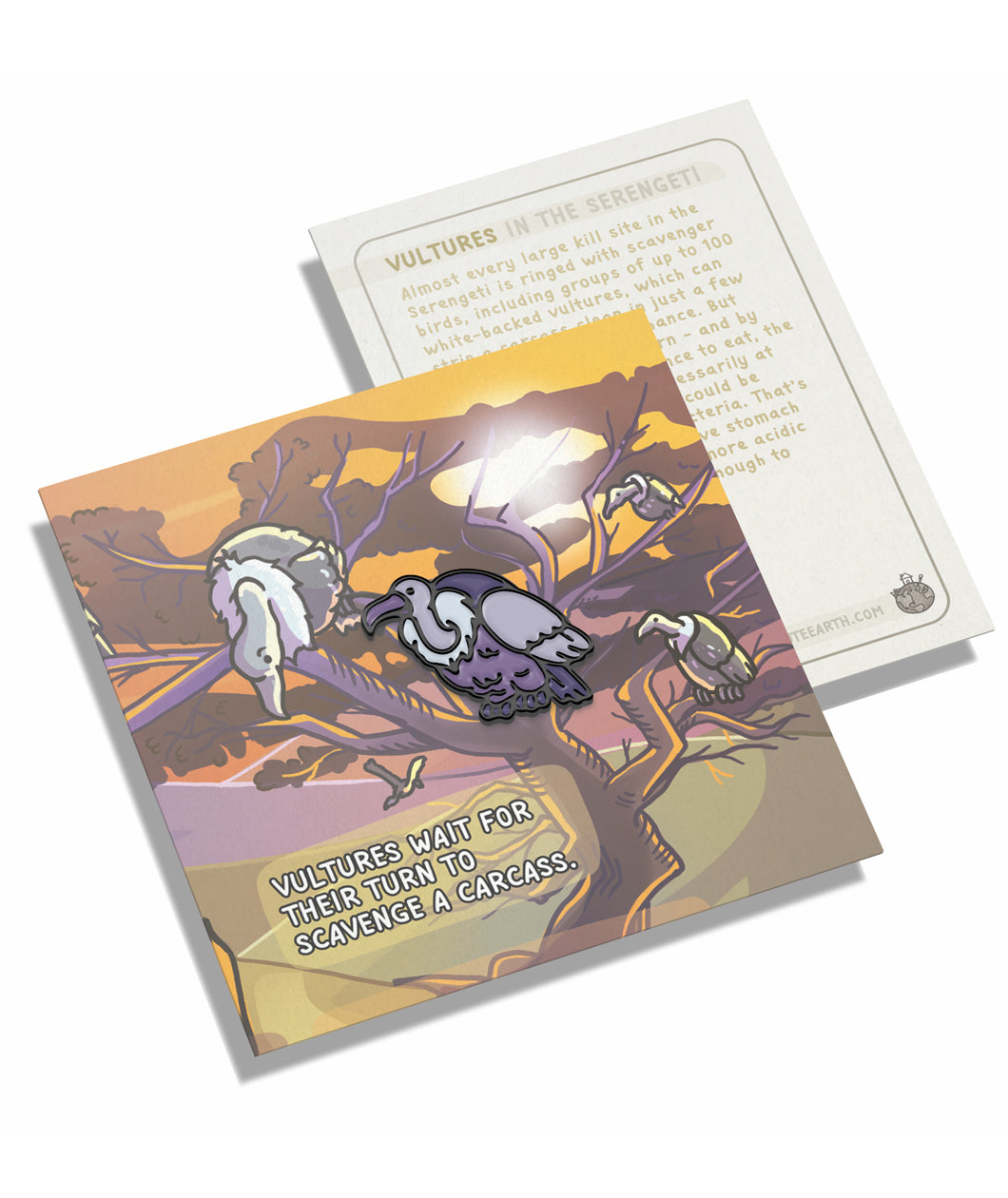 A vulture pin on a pin backing that gives facts about the vulture.