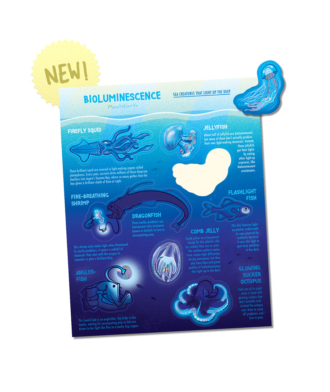 A blue sticker sheet of 8 different sea creatures with bioluminescence. A small badge says "New". From MinuteEarth.