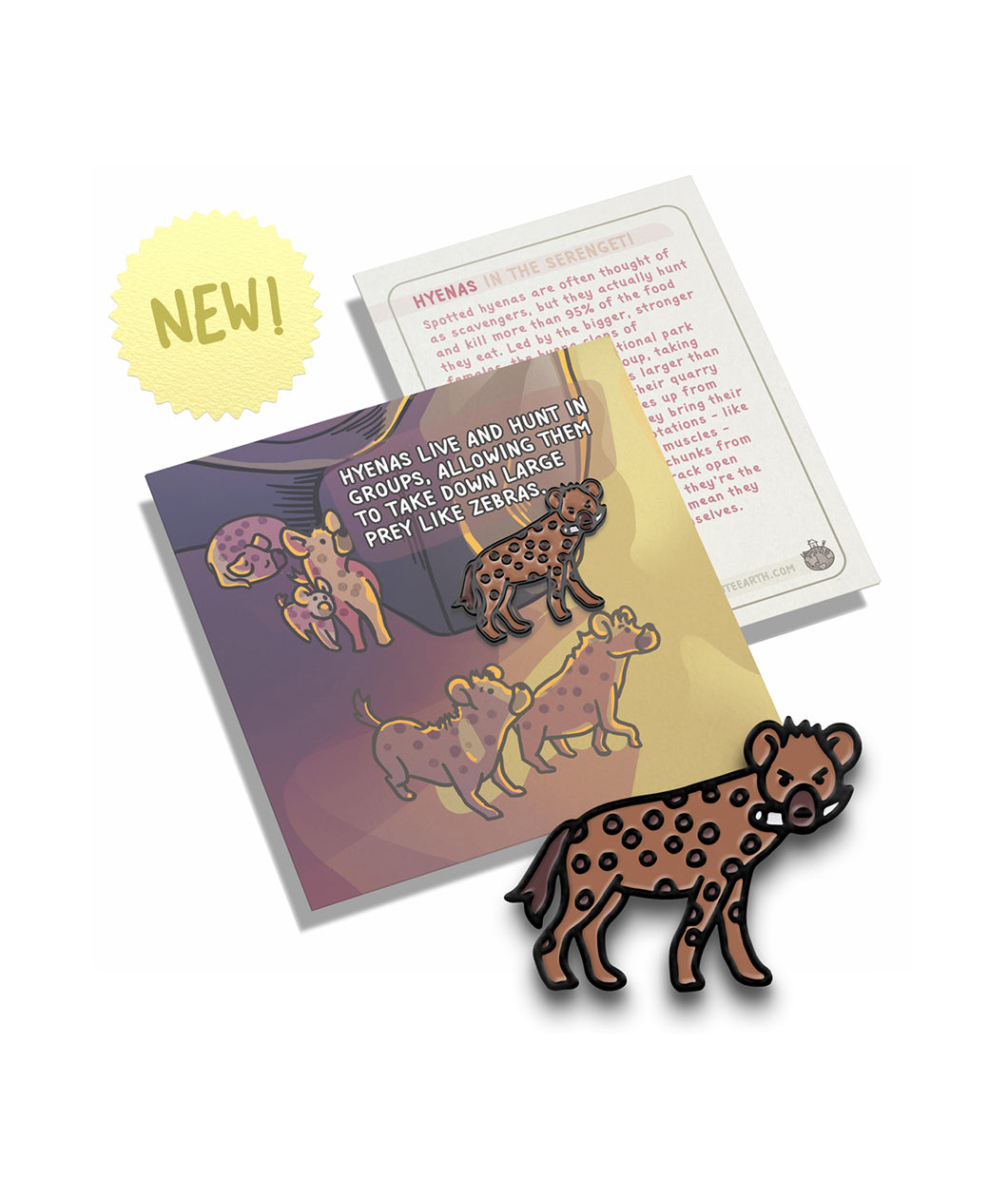 A hyena pin on a pin backing that gives facts about the hyena.