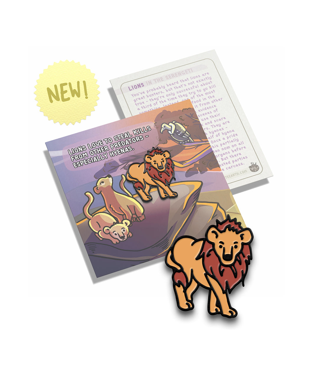 A lion pin on a pin backing that gives facts about the lion.