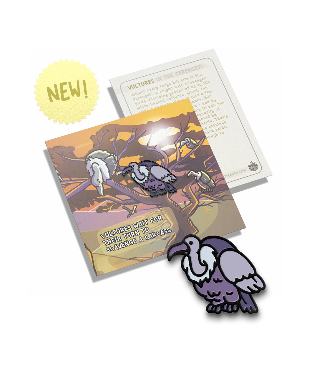 A vulture pin on a pin backing that gives facts about the vulture.