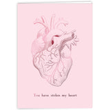 A light pink, vertical card with an illustrated anatomical heart on the front with the text "You have stolen my heart" right below it. The Anatomy Valentine's Day Card from Noble Blood. 