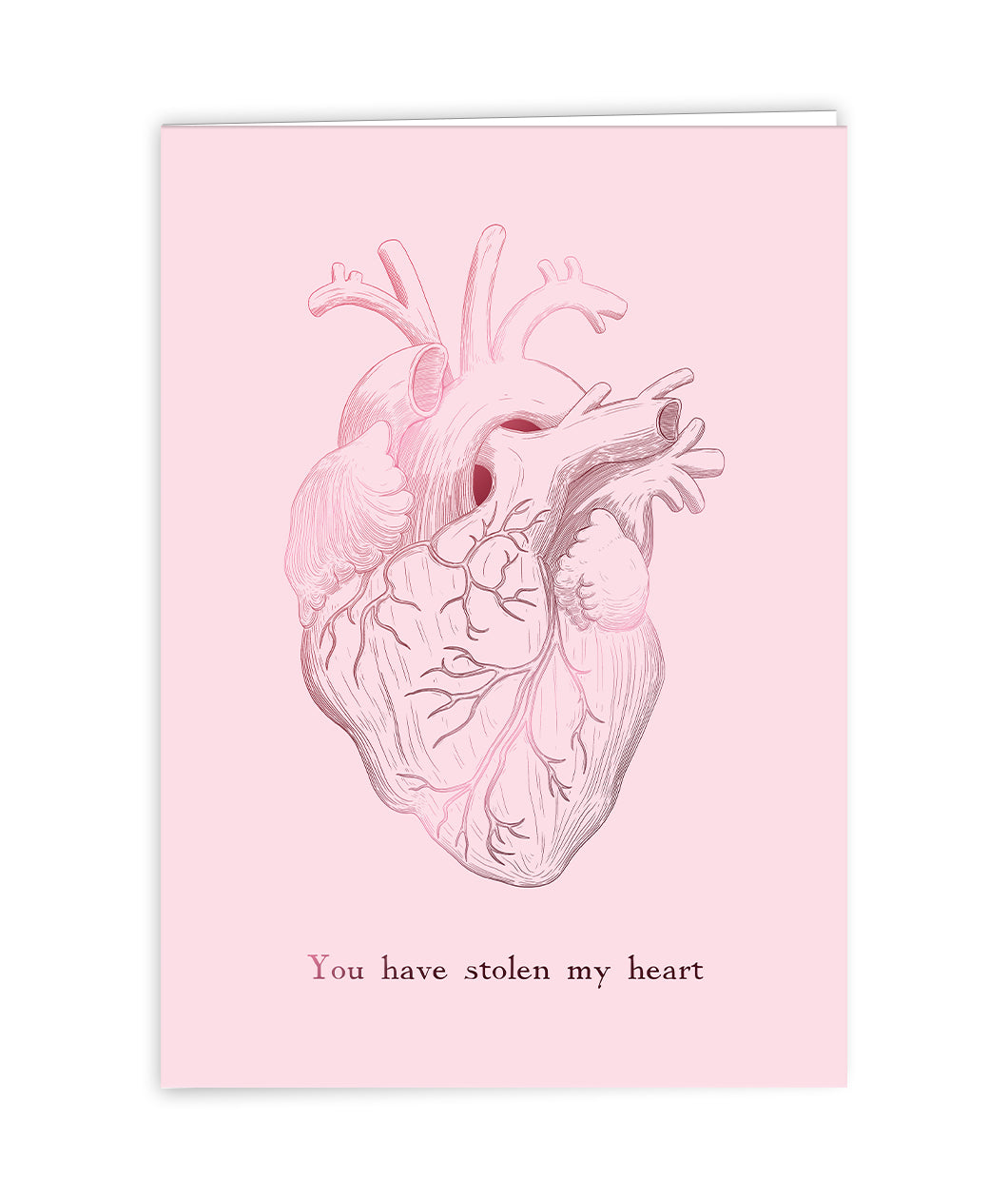 A light pink, vertical card with an illustrated anatomical heart on the front with the text "You have stolen my heart" right below it. The Anatomy Valentine's Day Card from Noble Blood. 