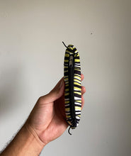 A caterpillar pencil case in a black, white and light green striped pattern with little legs and a zipper on top. Comes inside the Pitcher Plant backpack from Tyler Thrasher. 