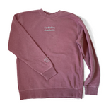 A dusty rose sweatshirt with mint green writing on the front center and a small mint green outline of a book on the left sleeve - by Ariel Bissett