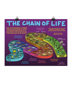 A poster with the headline "The Chain of Life" depicting a walkway with all different animals and organisms on it going back to the past through today. There is little text on the poster with facts about the chain of life. From Domain of Science. 