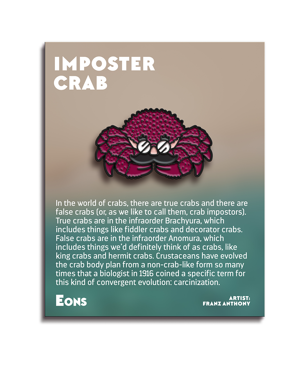 Cartoon representation of red crab with black outline and small black texture lines with a fake mustache, nose, and glasses on its face. Pin is attached to information card about the crab with a tan and aqua background - from Eons