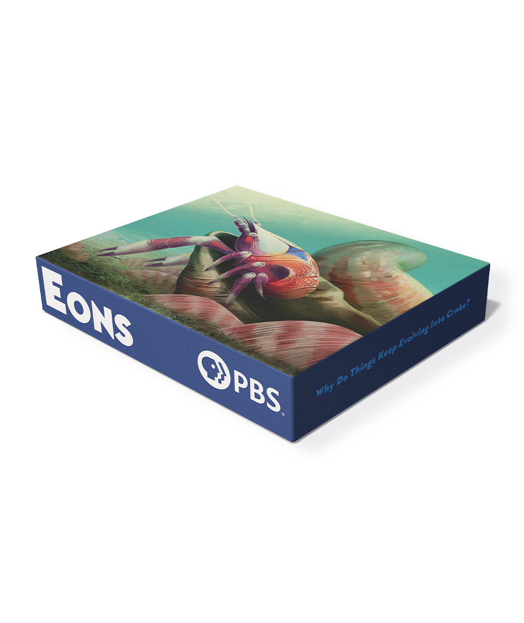 A puzzle box with a picture of a crab on the ocean floor. The box says "Eons" and "PBS". 