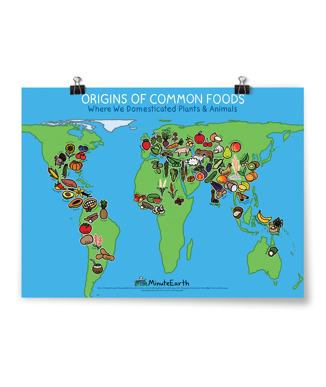 Horizontal poster showing green outlines of Earth’s continents on a blue background. Each continent has different cartoon drawn foods showing their origin. “Origins of Common Foods” is on top in white sans serif font. Below, “Where we domesticated plants and animals” is in blue sans serif font - from Minute Earth