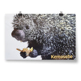 Poster hanging from two binder clips on wall. Poster image is of black and white porcupine holding a piece of fruit. Head, hands, and part of body are shown in front of white background. “Kemosabe” is written in light orange sans serif font in bottom right corner of poster - from Animal Wonders