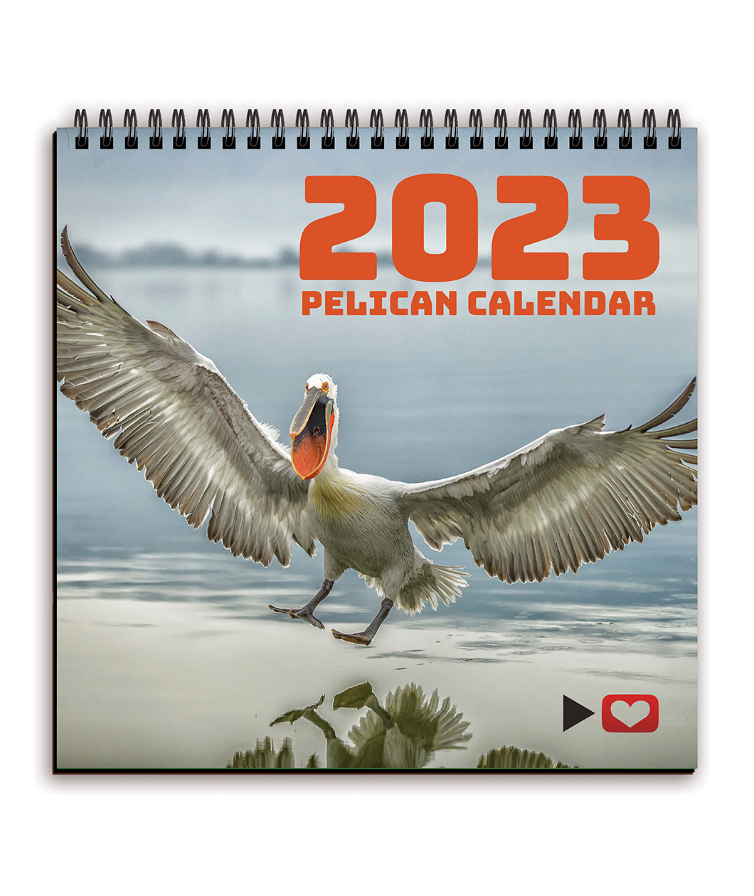 The cover of the Project for Awesome calendar showing a pelican about to land on the water. The text reads 
